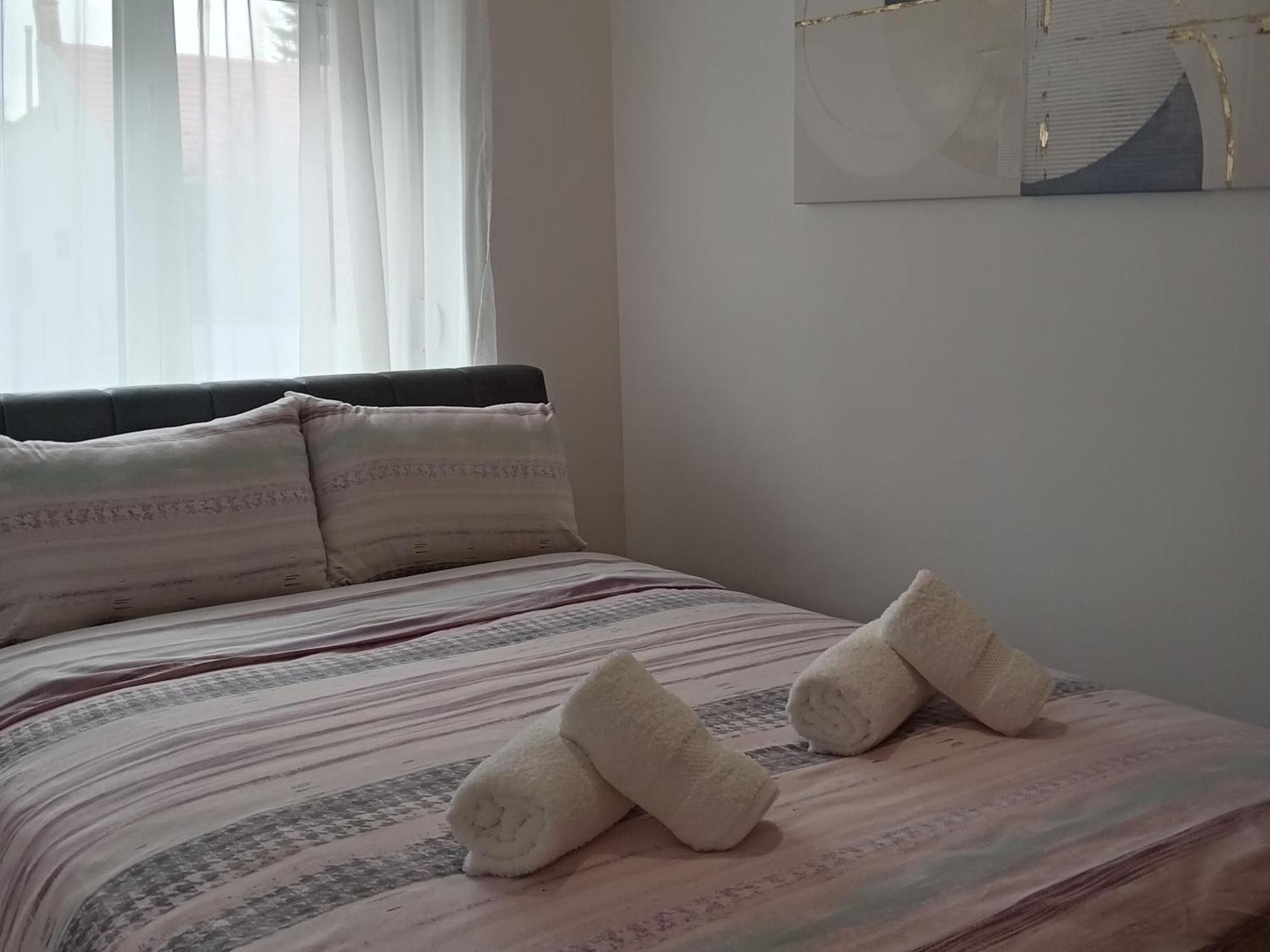 Tera Apartment Zemun Belgrad Rum bild
