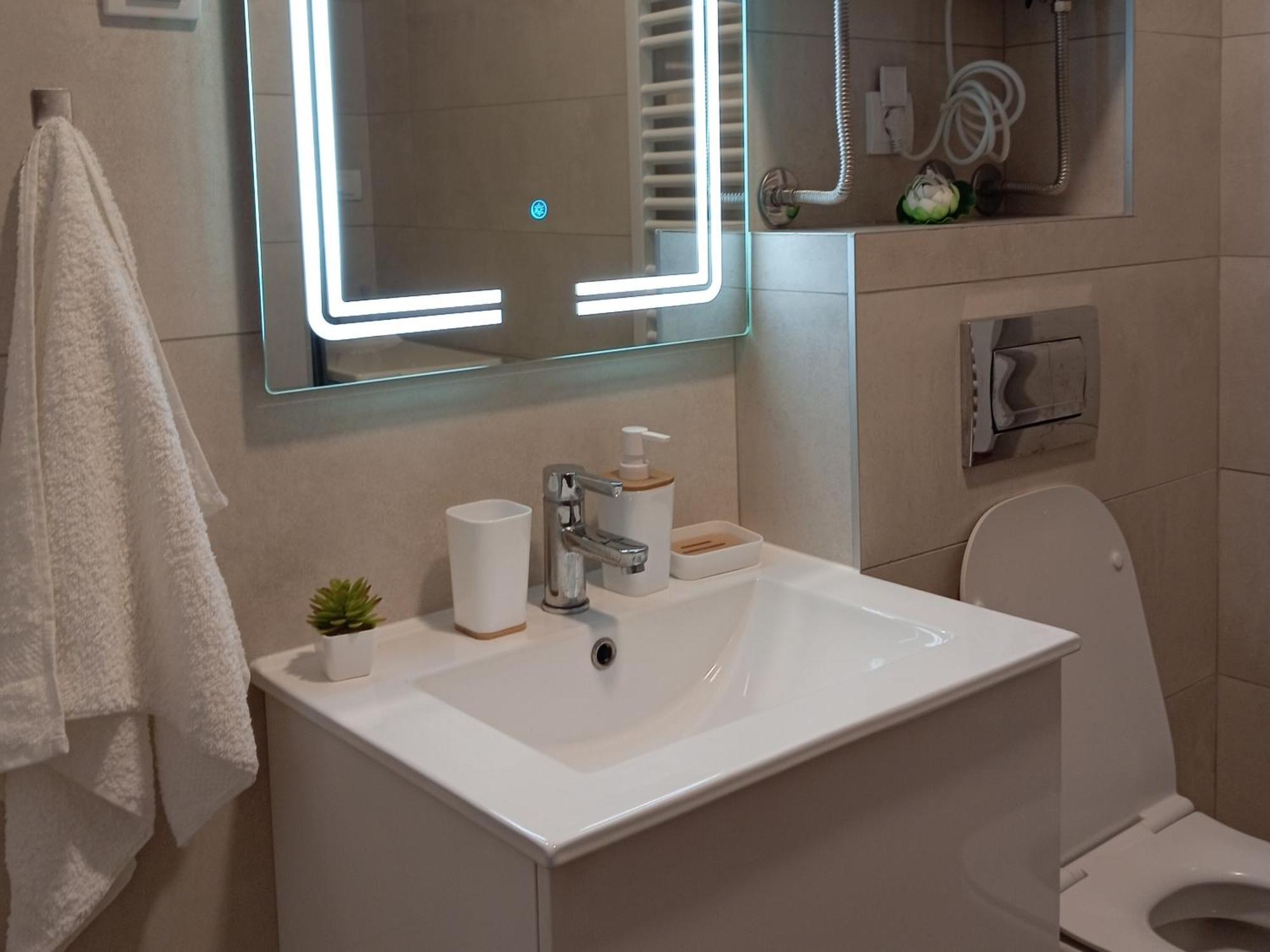 Tera Apartment Zemun Belgrad Rum bild